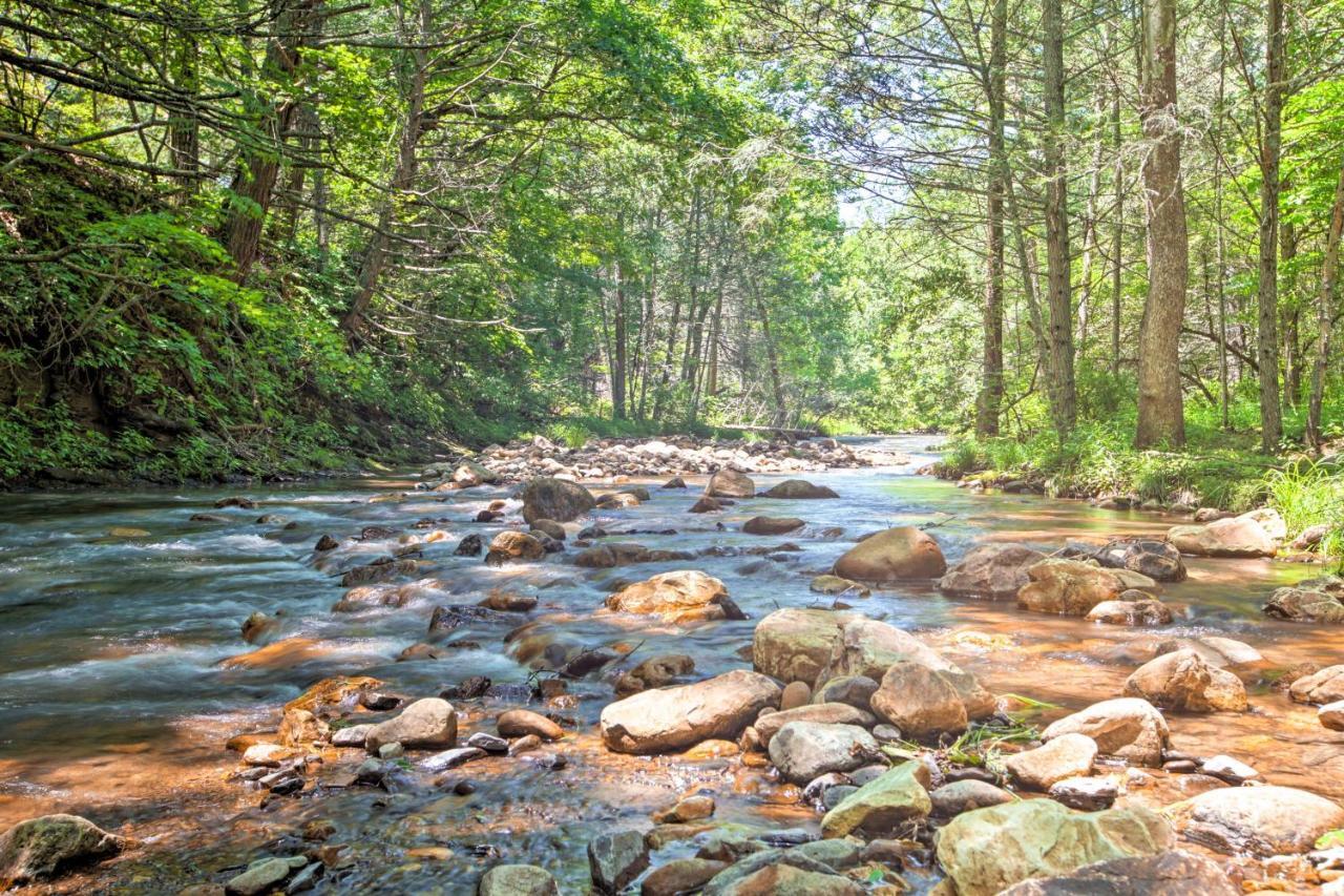 Clearwater Cabin On 10 Acres With Trout Stream! Monterey Екстер'єр фото
