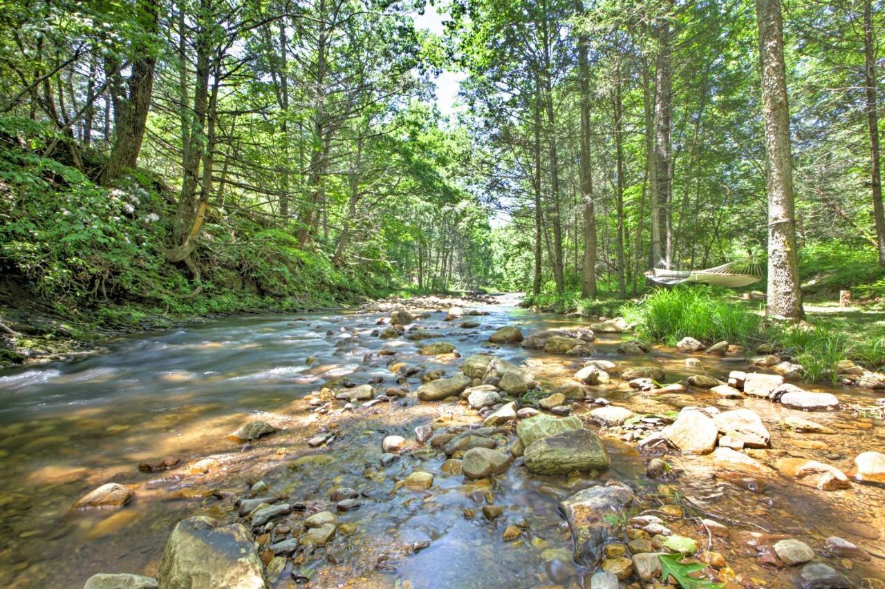 Clearwater Cabin On 10 Acres With Trout Stream! Monterey Екстер'єр фото